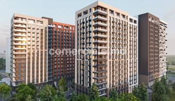 City Gardens_1.jpg